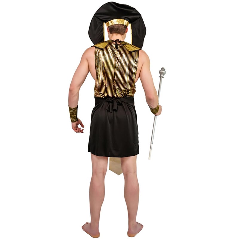 KalcyKizz Men's King of Egypt Costumes,Black,golden,One Size - Image 4